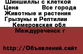 Шиншиллы с клеткой › Цена ­ 8 000 - Все города Животные и растения » Грызуны и Рептилии   . Кемеровская обл.,Междуреченск г.